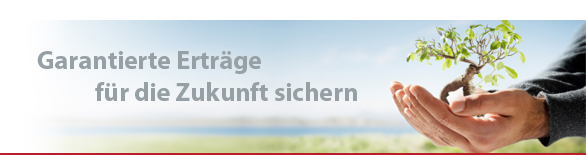 Robin Hood - Vorsorgen und Bausparen